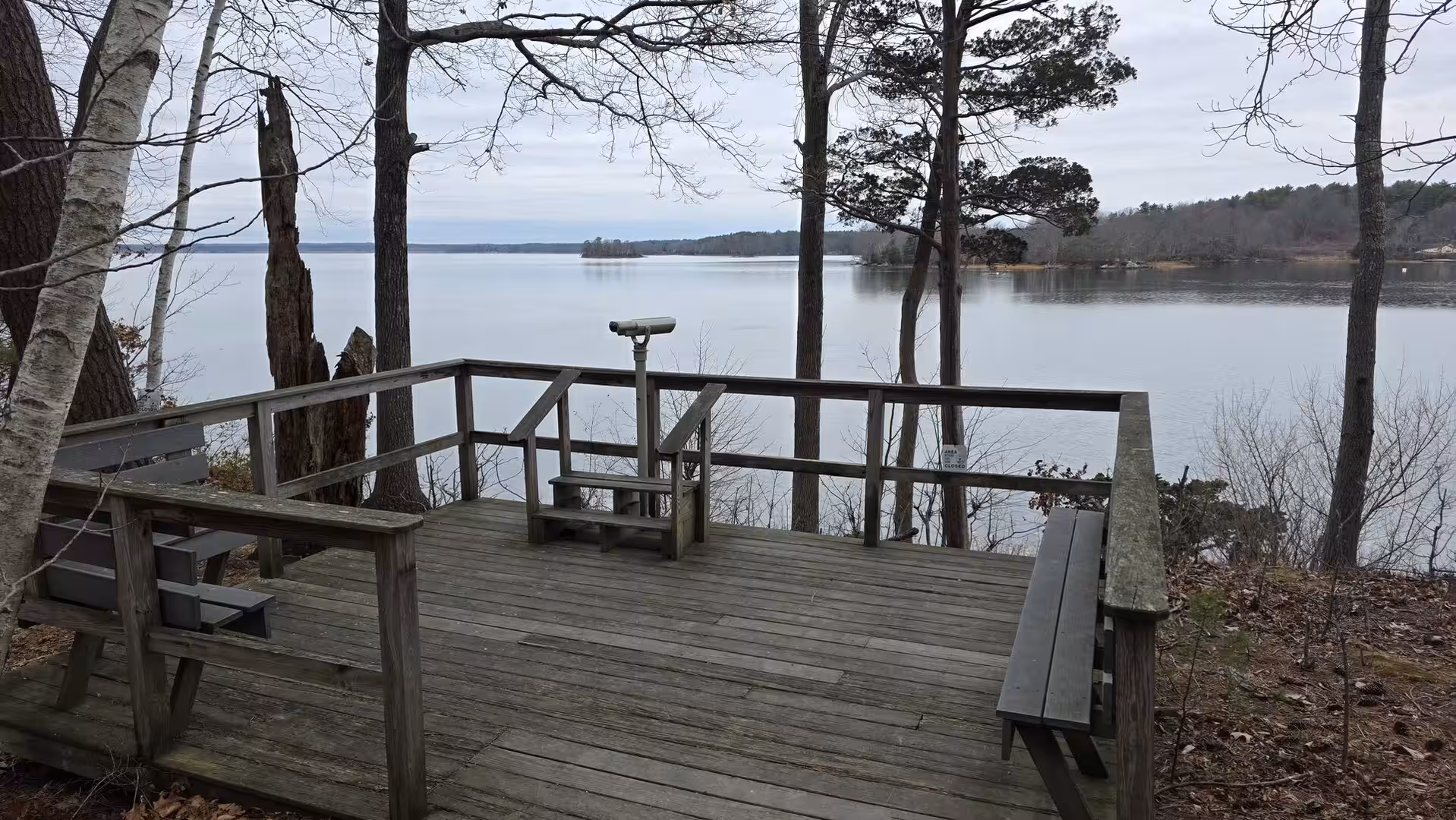 Wooden observation deck overlooking a calm coastal inlet framed by tall trees.