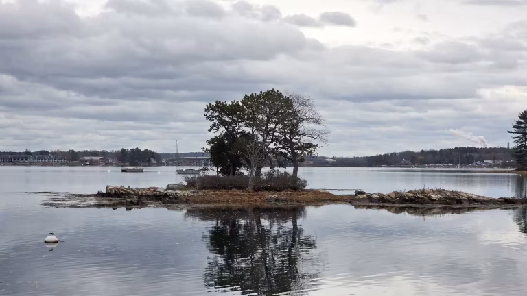 Small rocky island with windswept trees reflected in calm harbor water under cloudy skies.