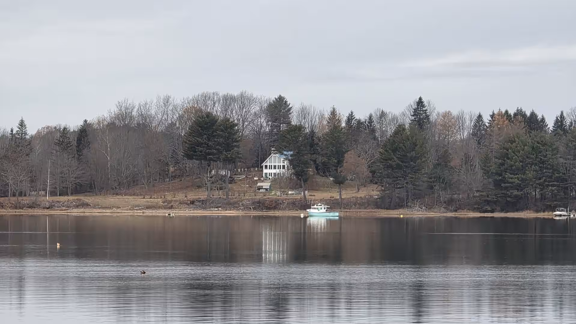 Quiet forested shoreline with a small white house and fishing boat reflected in calm harbor water.