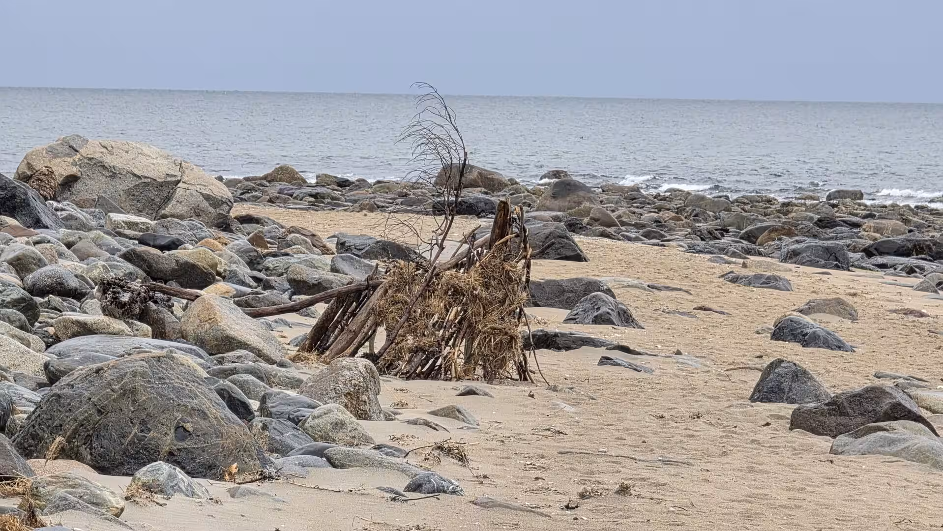 Rocky New England shoreline with driftwood debris on sandy beach beside calm ocean water under a pale overcast sky.