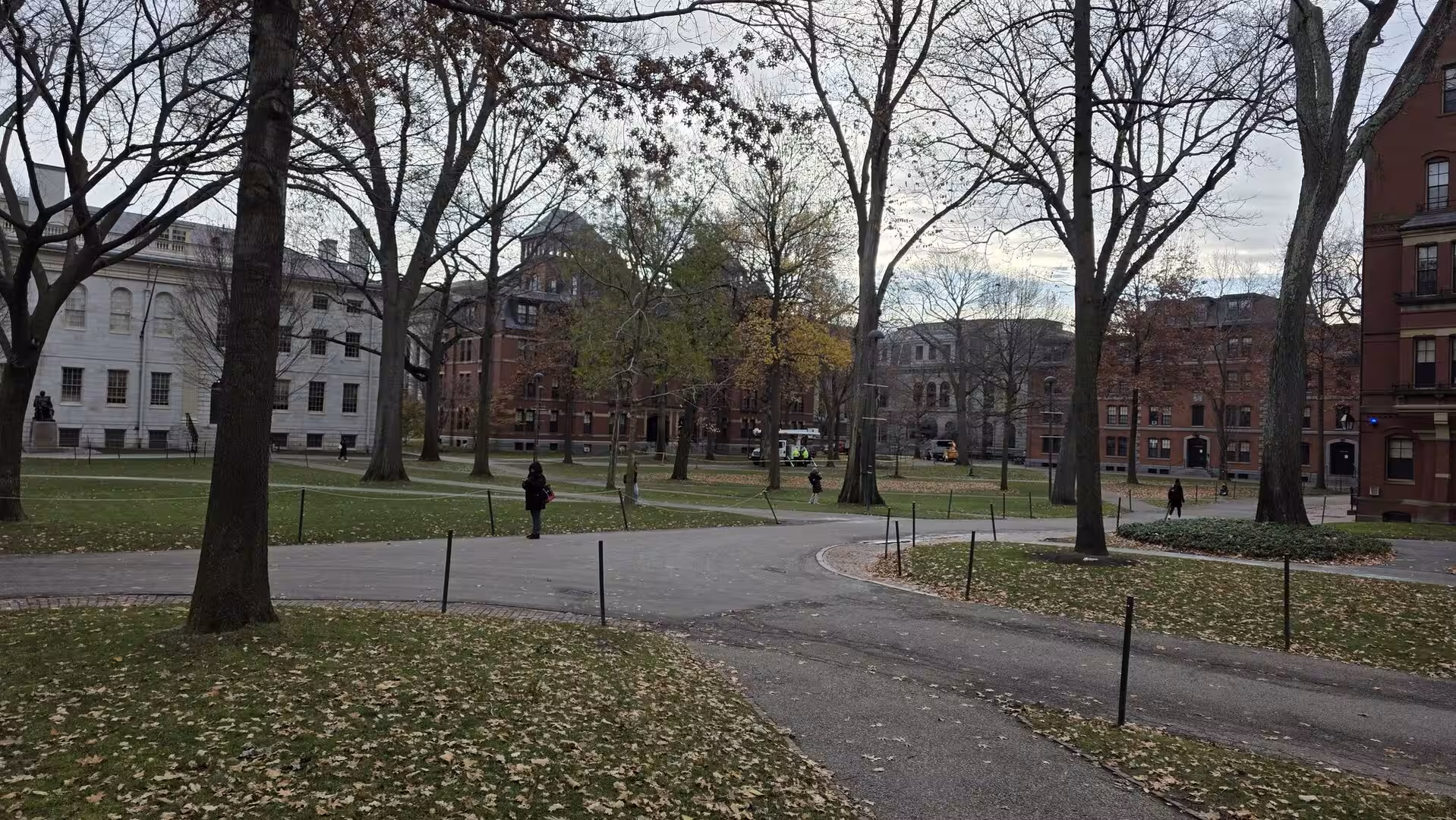 Tree-lined courtyard on the Harvard University campus with historic academic buildings, winding walkways, and scattered autumn leaves under an overcast sky.