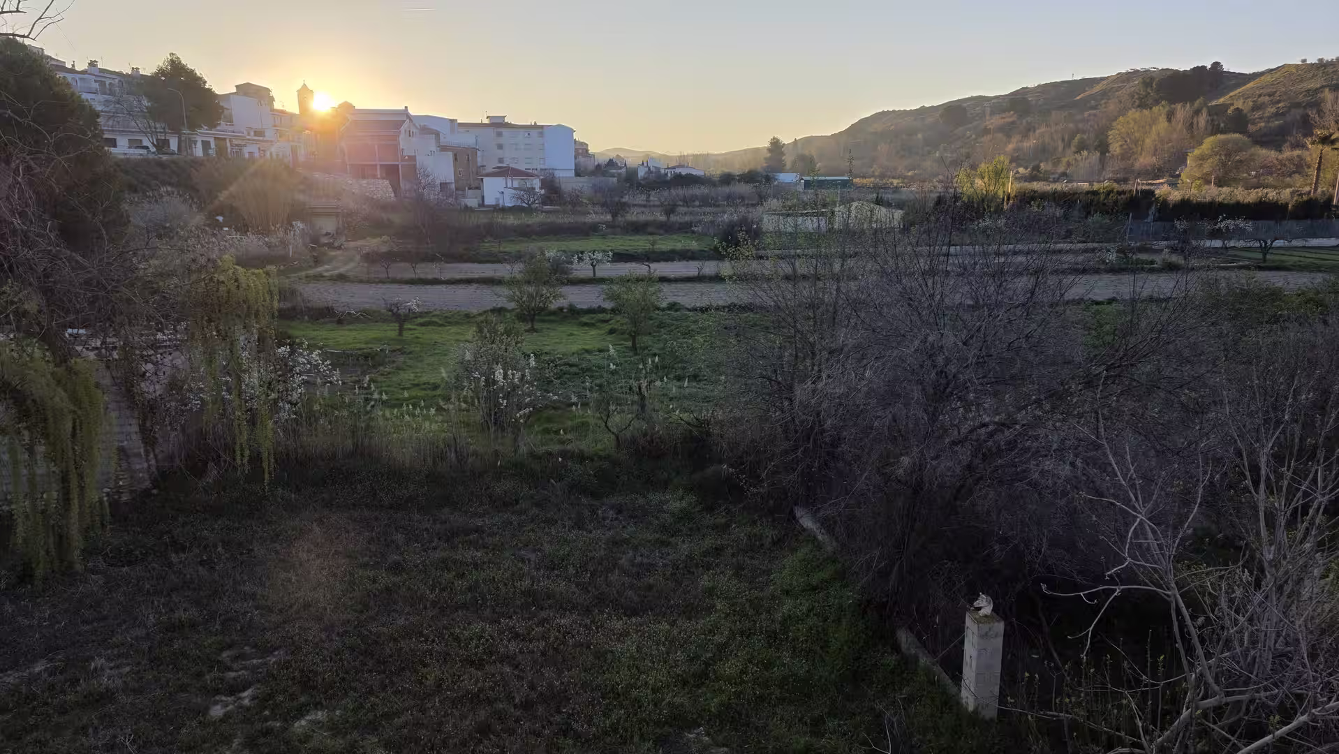 Evening sun above fields and hills in a rural Andalusian landscape.