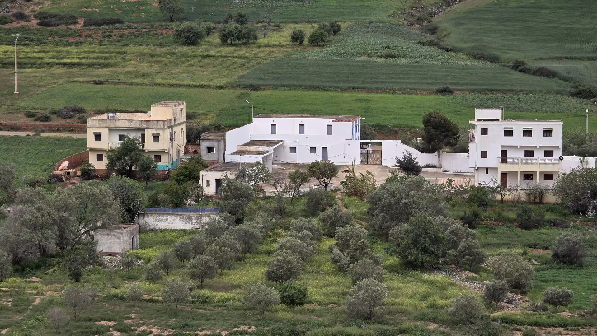 Traditional houses surrounded by olive groves and green agricultural fields in northern Morocco.