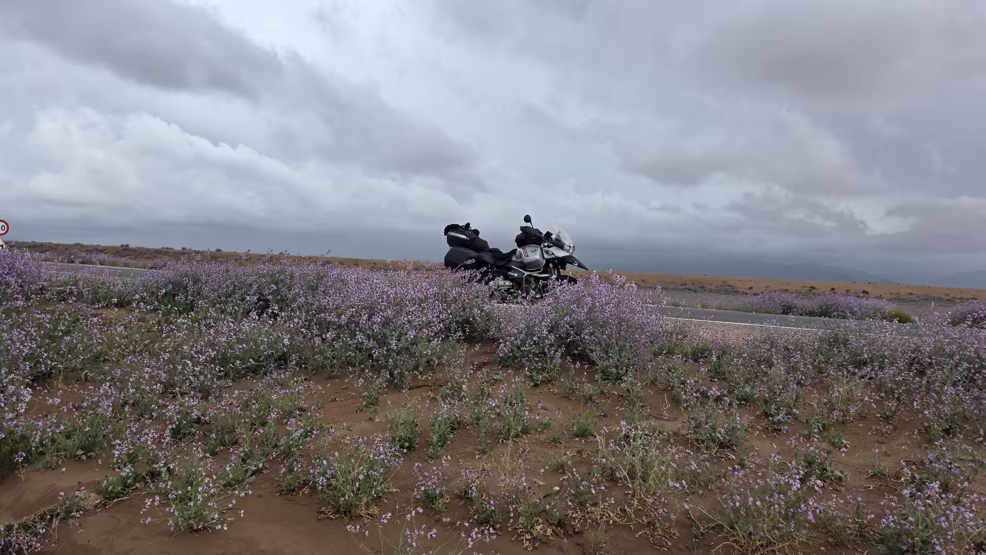 A BMW GS motorcycle beside a road lined with wildflowers on Morocco’s eastern high plains under dramatic storm clouds.