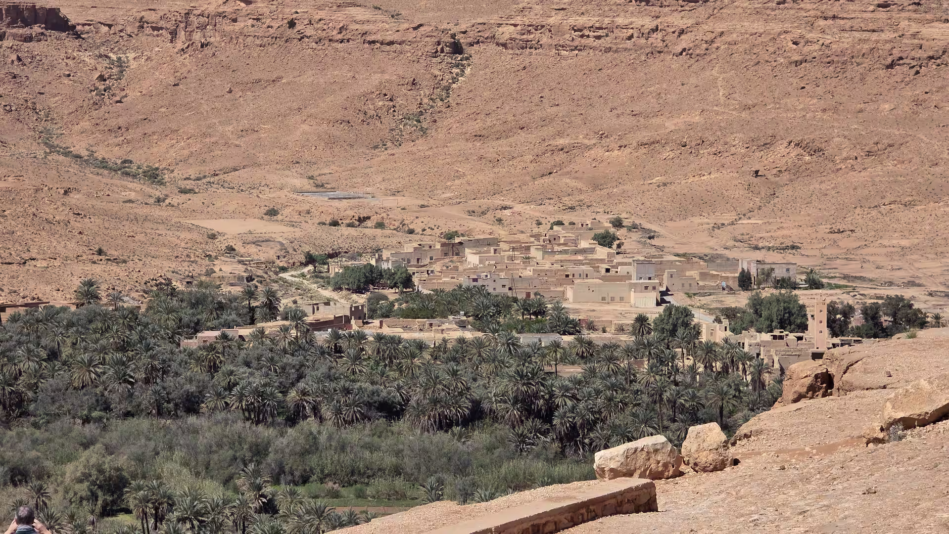 Traditional desert village surrounded by a dense palm grove at the foot of rocky cliffs in eastern Morocco.