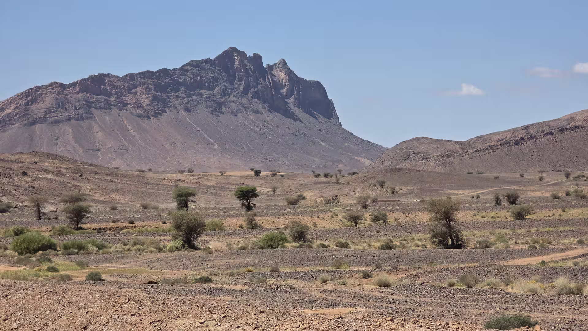 Prominent rocky mountain rising above an arid plain with scattered trees and sparse vegetation in eastern Morocco.