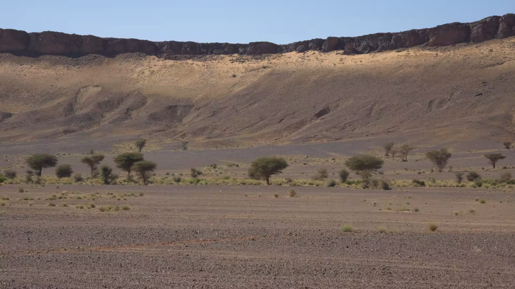 Dry rocky plain with scattered acacia trees below a steep escarpment in the desert landscape of eastern Morocco.