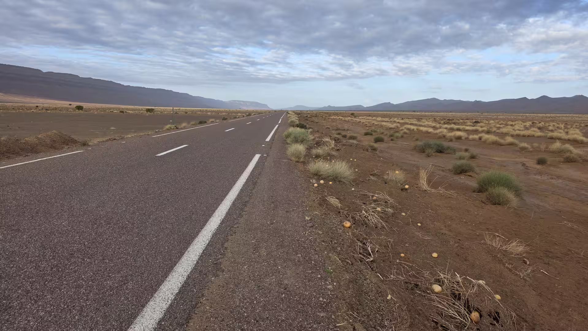Straight road crossing an open desert plain near Zagora with low vegetation, distant mountains, and a cloudy sky.