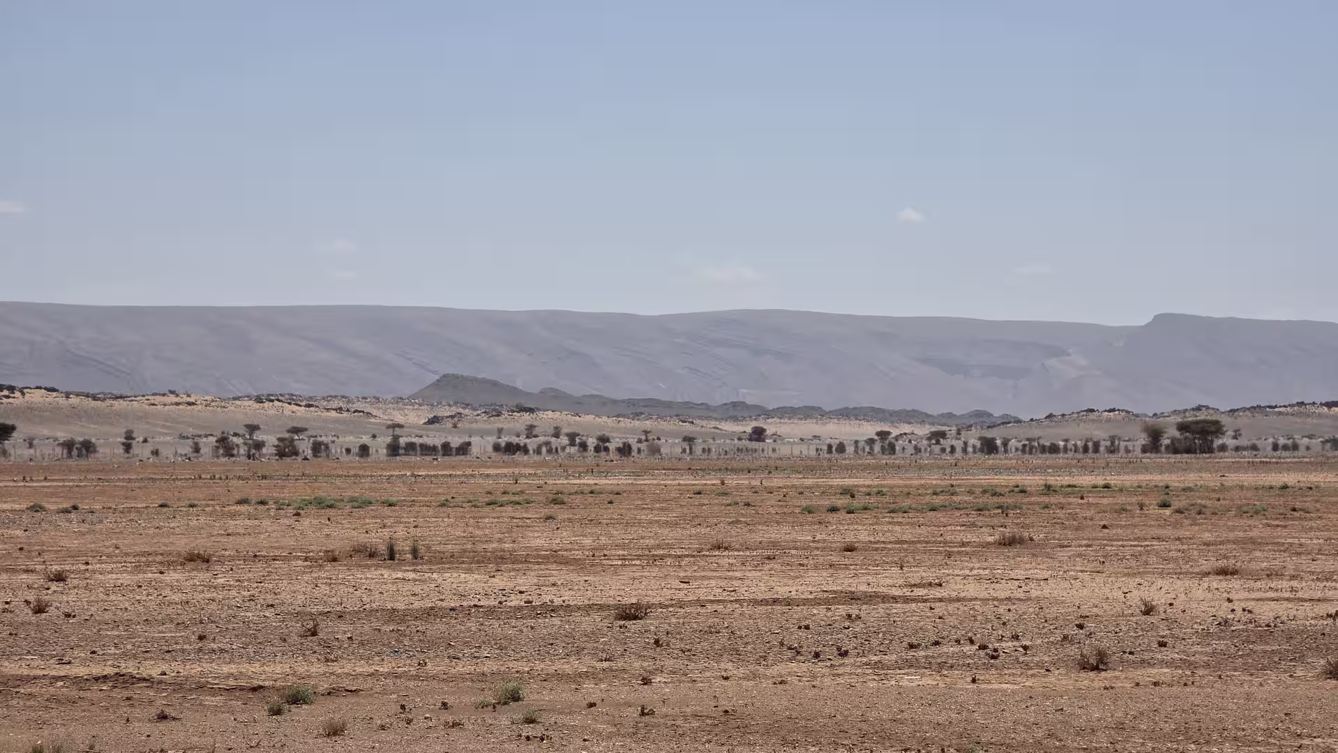 Wide arid plain with sparse vegetation extending toward layered desert hills and a distant rocky escarpment beneath a pale blue sky.