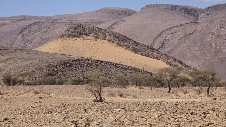 Rocky desert terrain with scattered trees and a sand-covered ridge set against broad barren mountains.