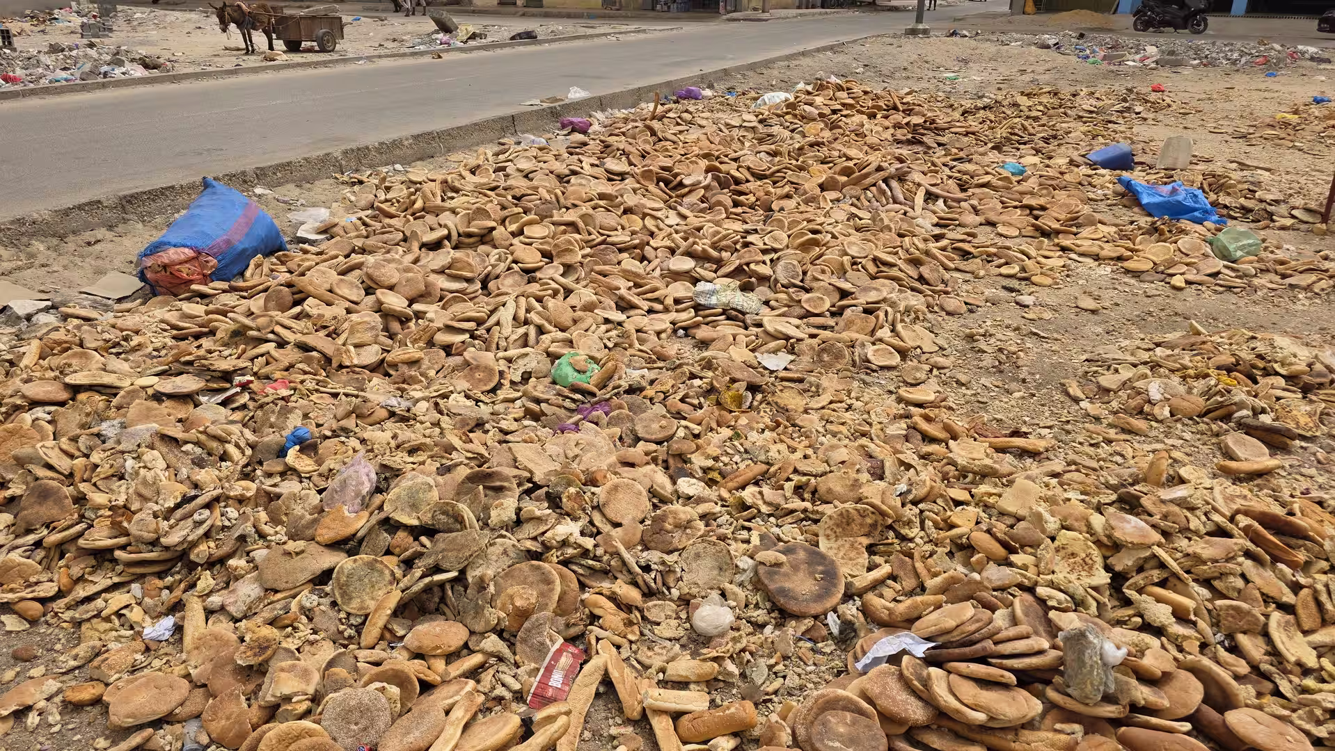 Large pile of discarded flatbread and bread pieces spread across sandy ground beside a road.