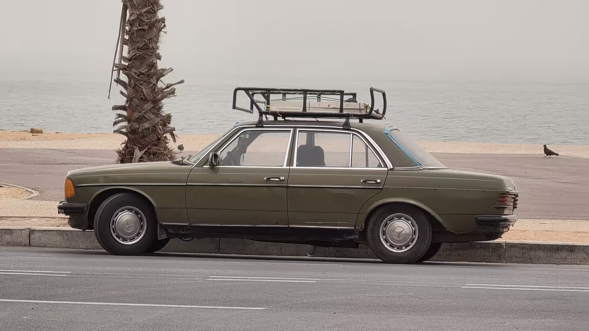 Vintage dark green Mercedes sedan with a roof rack parked beside a coastal road overlooking the ocean.