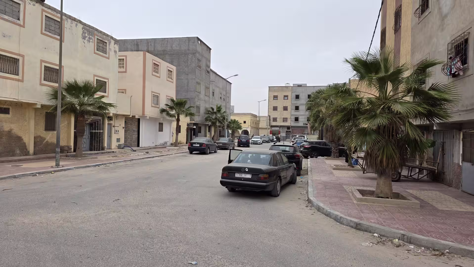 Wide residential street in Dakhla with parked cars, apartment buildings and rows of palm trees along the sidewalks.
