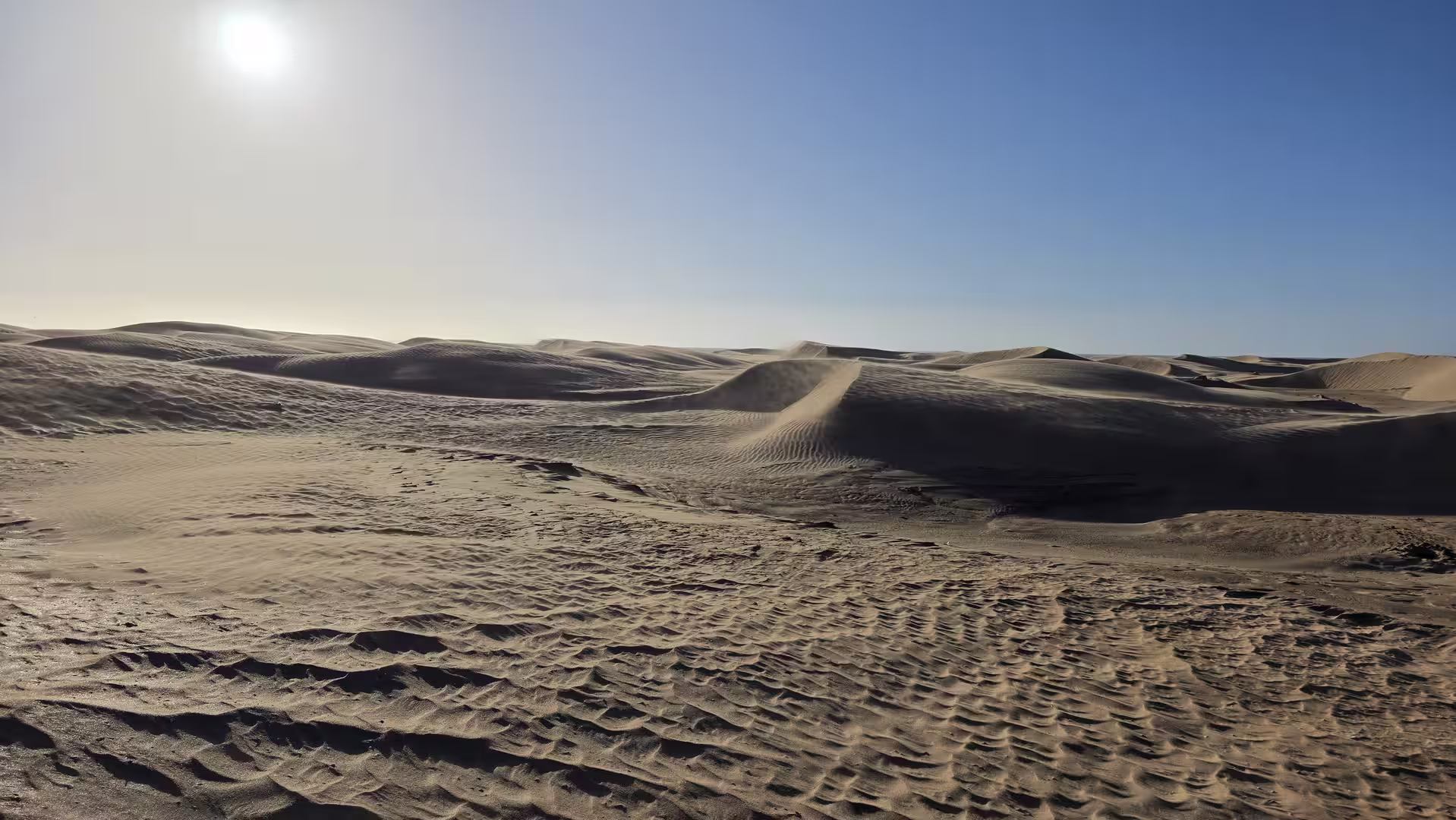 Wide view of rolling desert sand dunes under a bright sun and clear blue sky, showing wind-shaped patterns across the surface.