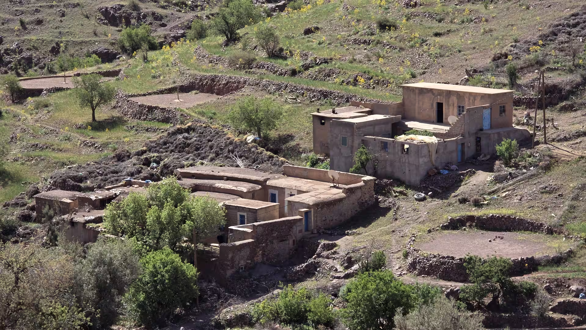 Traditional rural houses surrounded by terraced fields and trees in the Anti-Atlas.
