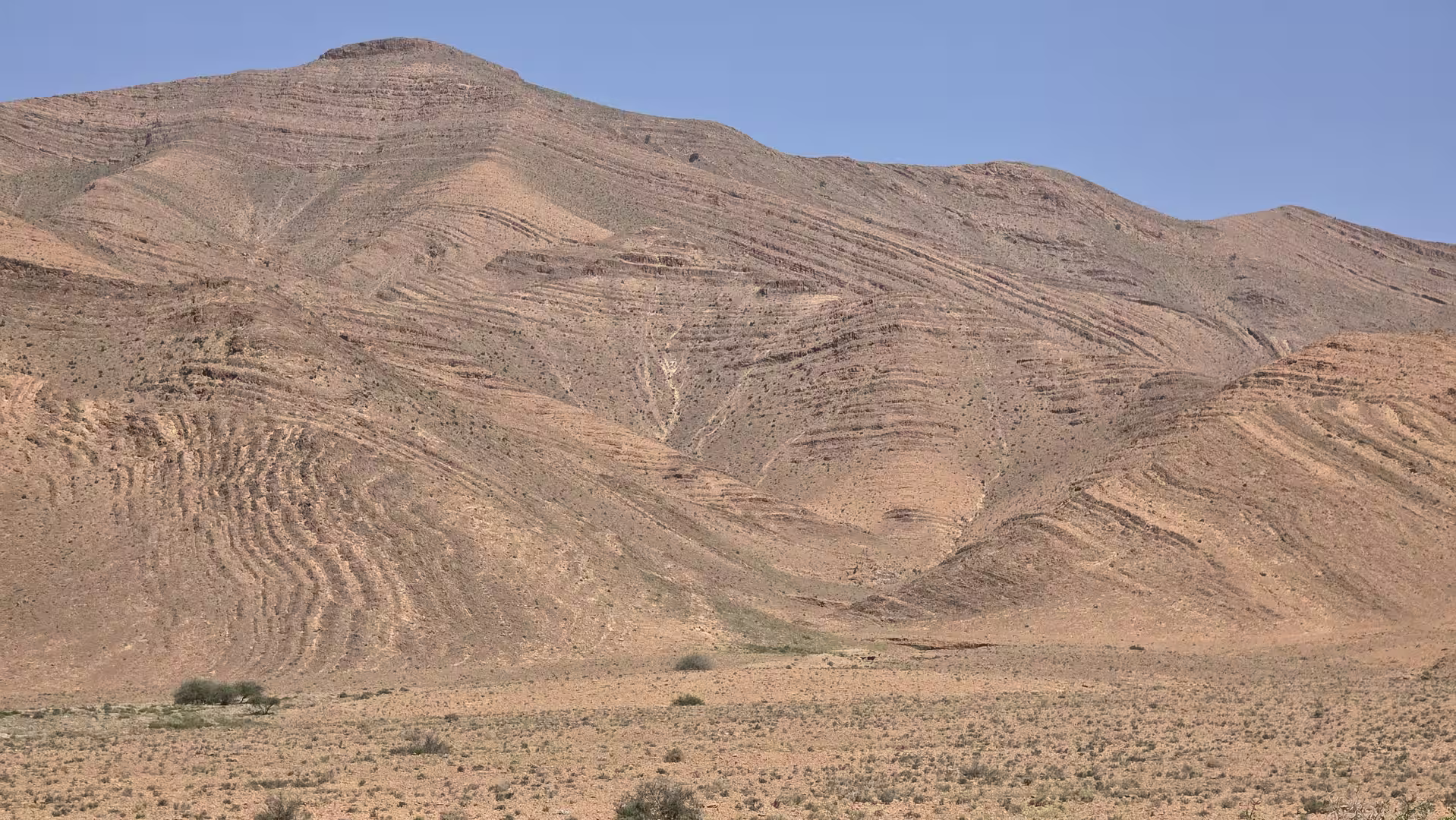 Folded sedimentary rock layers forming broad curved bands across an arid mountainside in the Atlas region.