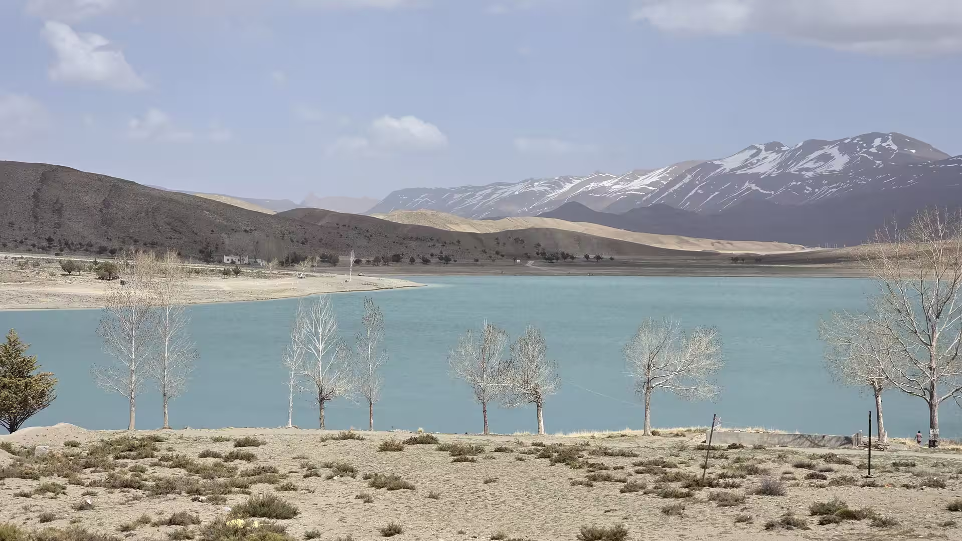 A row of pale trees stands beside a turquoise mountain reservoir, with dry hills in the foreground and snow-covered peaks rising in the distance.