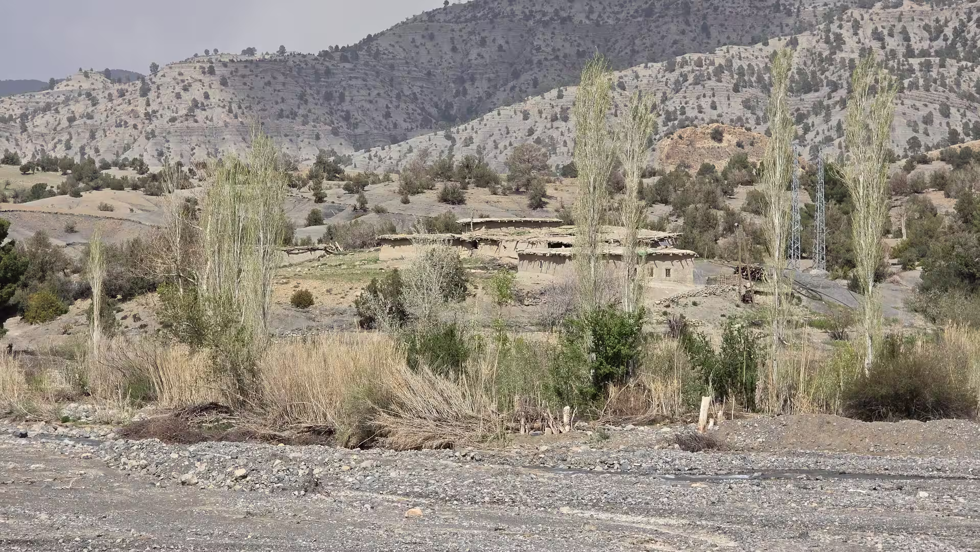 A small rural settlement sits among tall poplar trees and dry riverbed vegetation, backed by pale layered mountain slopes with scattered shrubs.