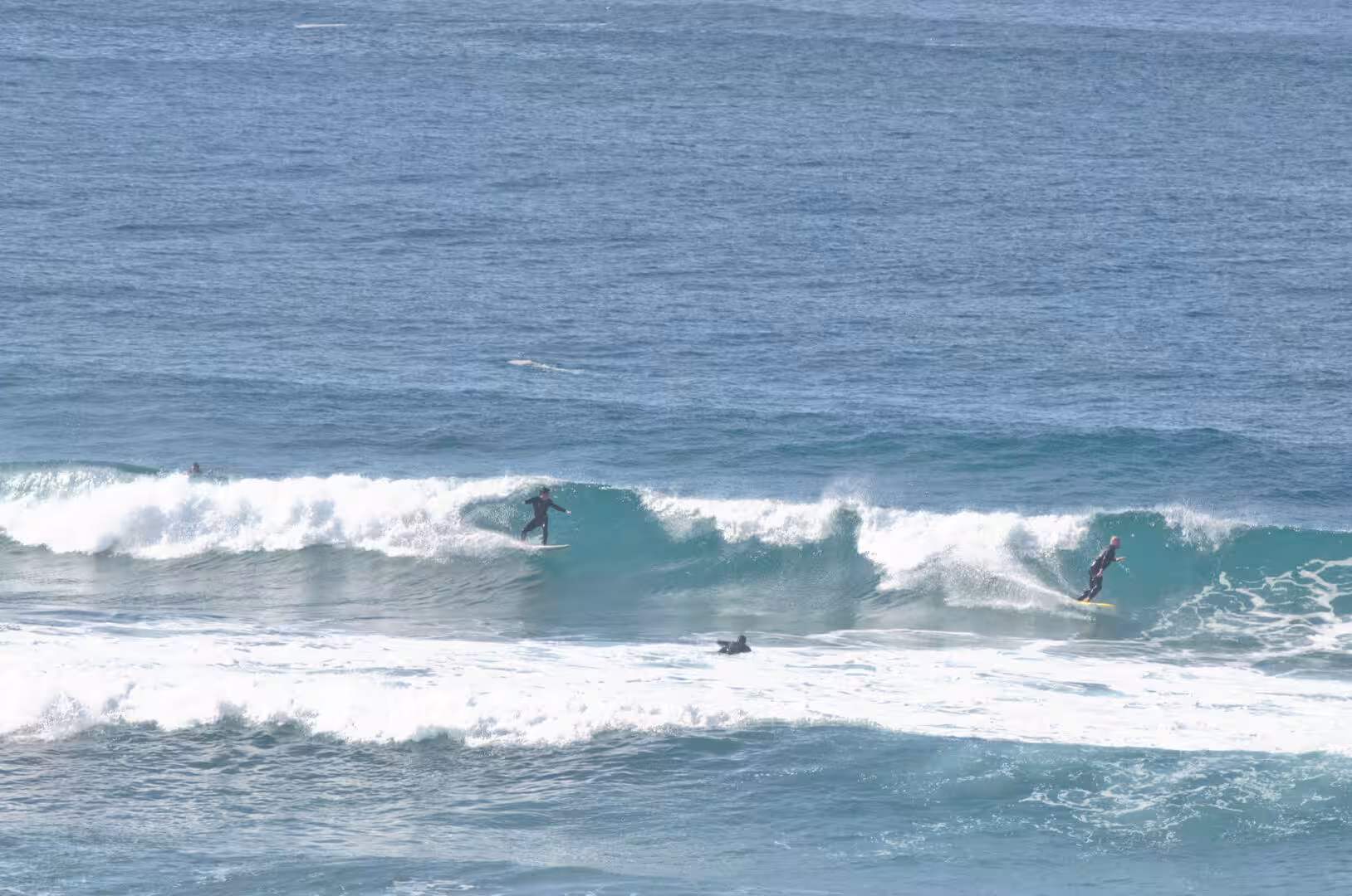 Two surfers ride a rolling turquoise wave line out on the open blue ocean.