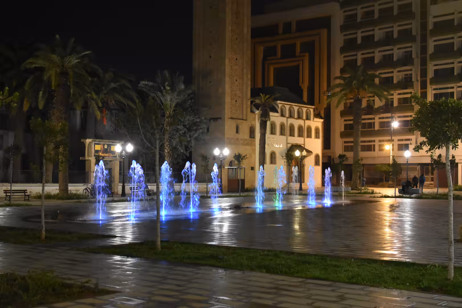 Colorful illuminated fountains in a public square surrounded by palm trees and buildings at night.