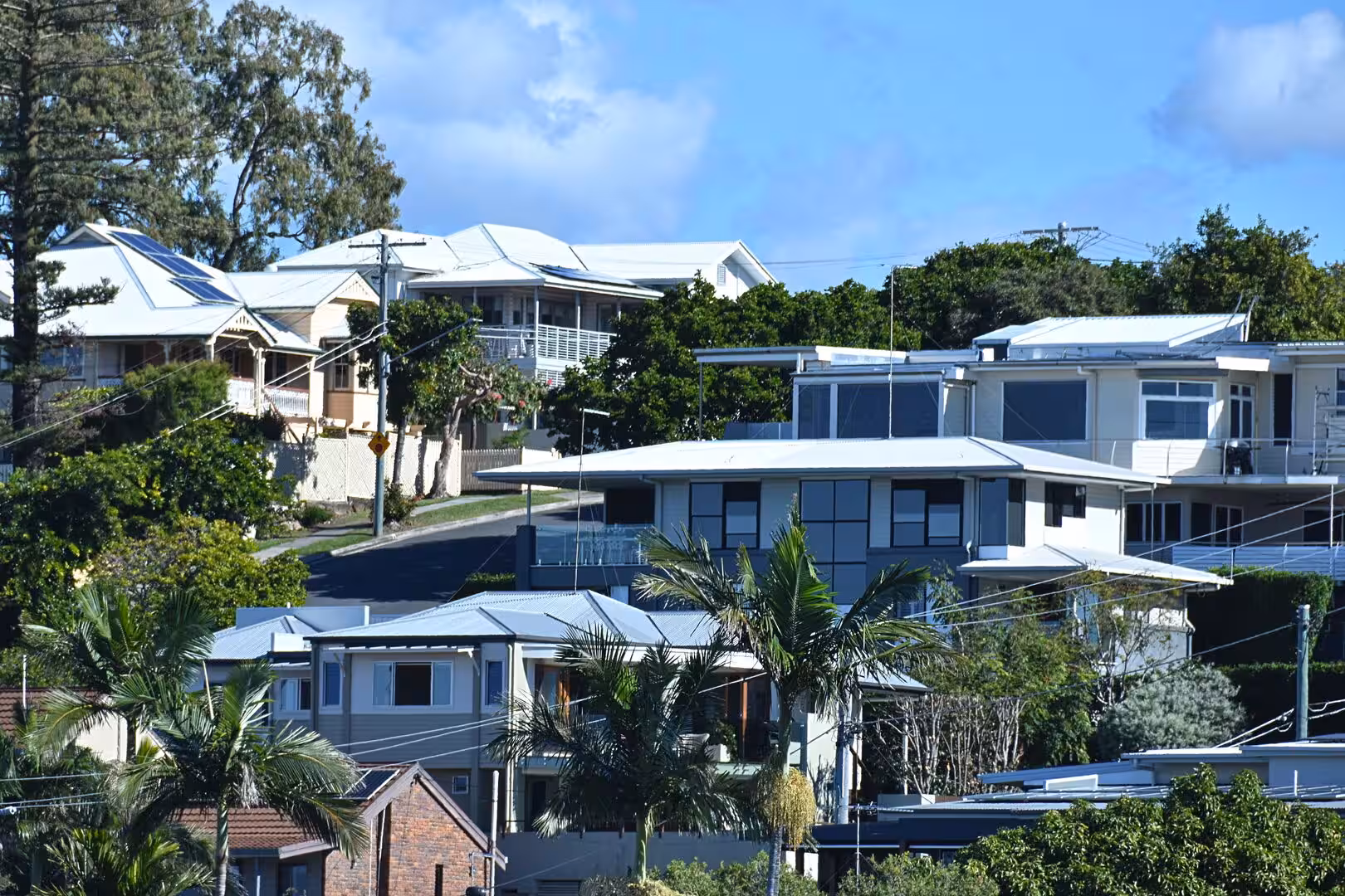 White-roofed houses and palm trees crown a sunny hillside suburb.