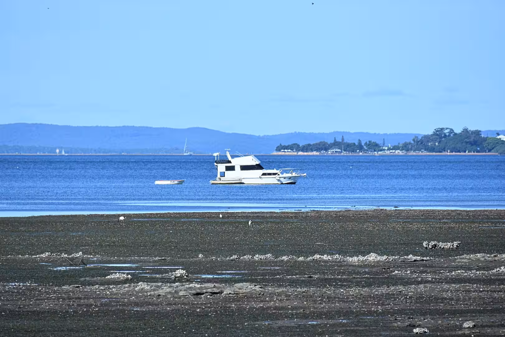 A white motor yacht floats on calm water above a low-tide shoreline.