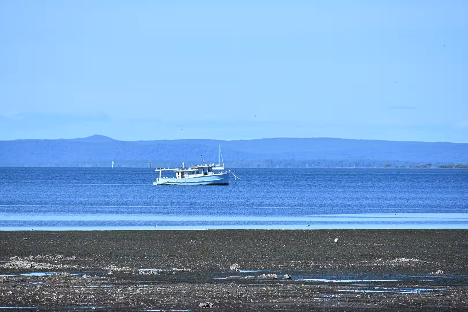 A small motor cruiser glides across a wide blue bay toward distant hills.