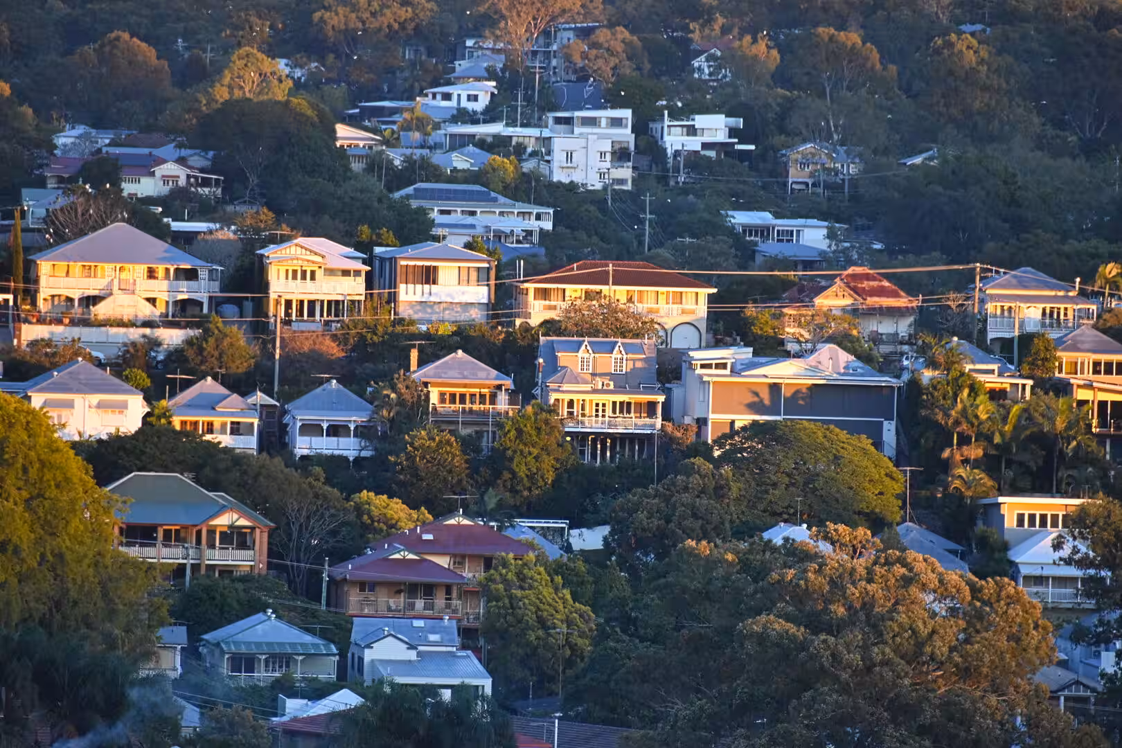 Densely packed veranda homes with varied roofs spread across a leafy hillside in warm light.