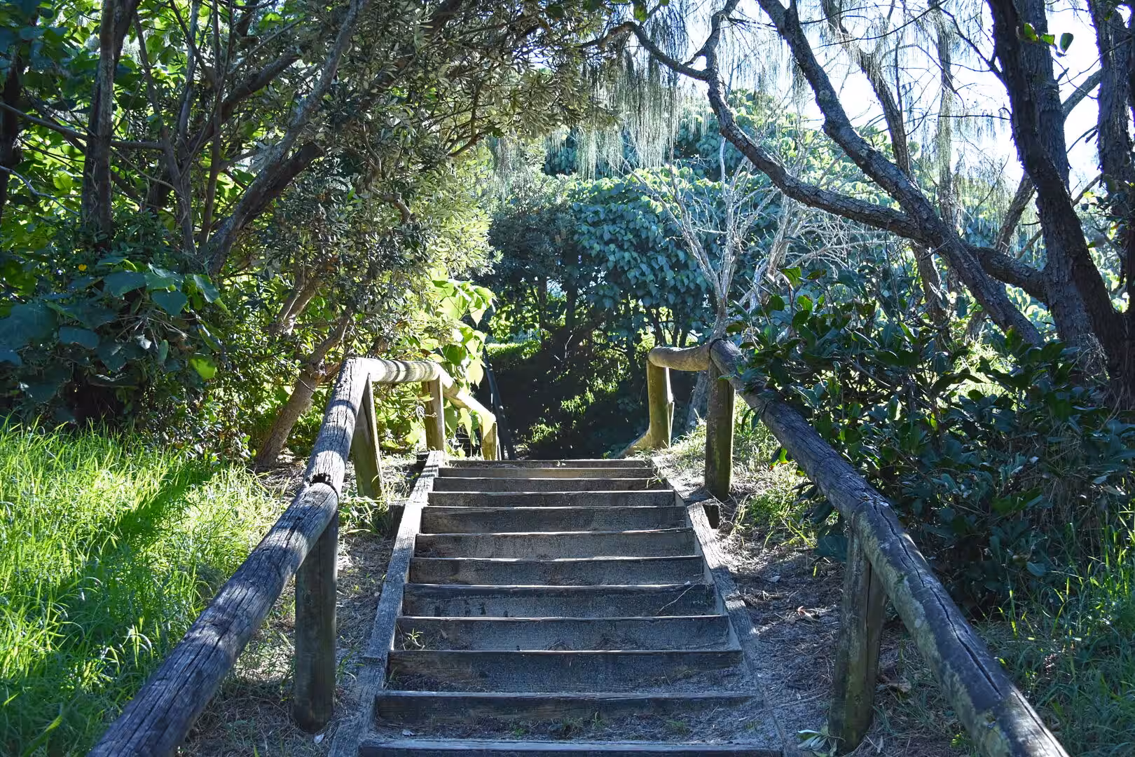 Rustic timber steps with wooden handrails lead down through thick green foliage.