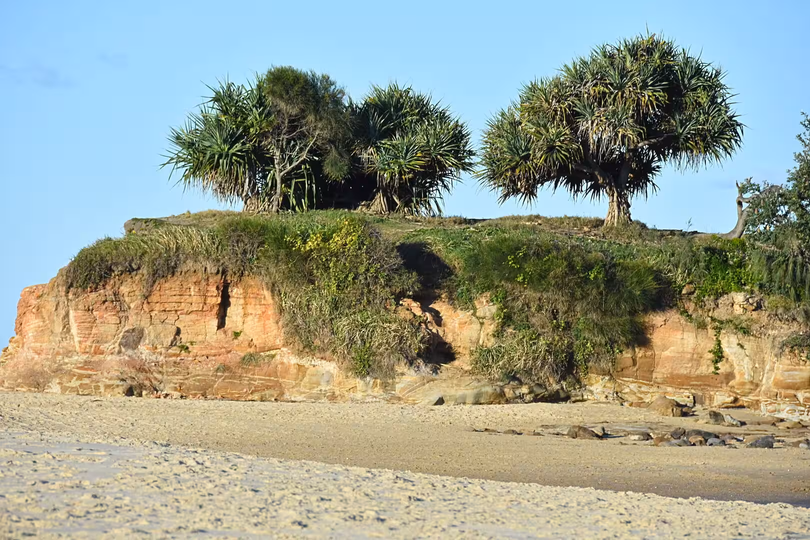 Sandy beach below an orange-red cliff topped with pandanus and grass