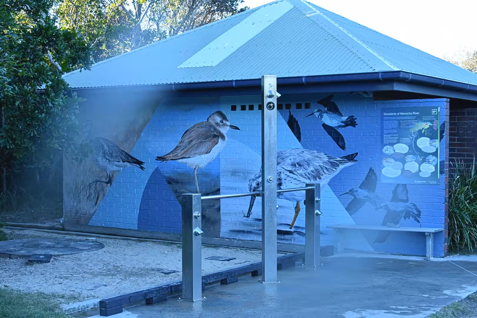 Blue shelter wall painted with wading shorebirds at Maroochy River