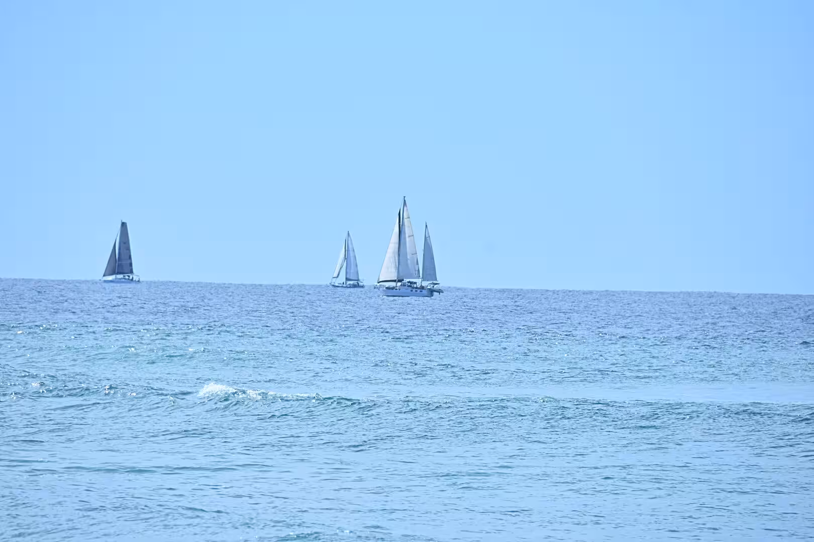 Several white sailboats glide along the distant sea horizon