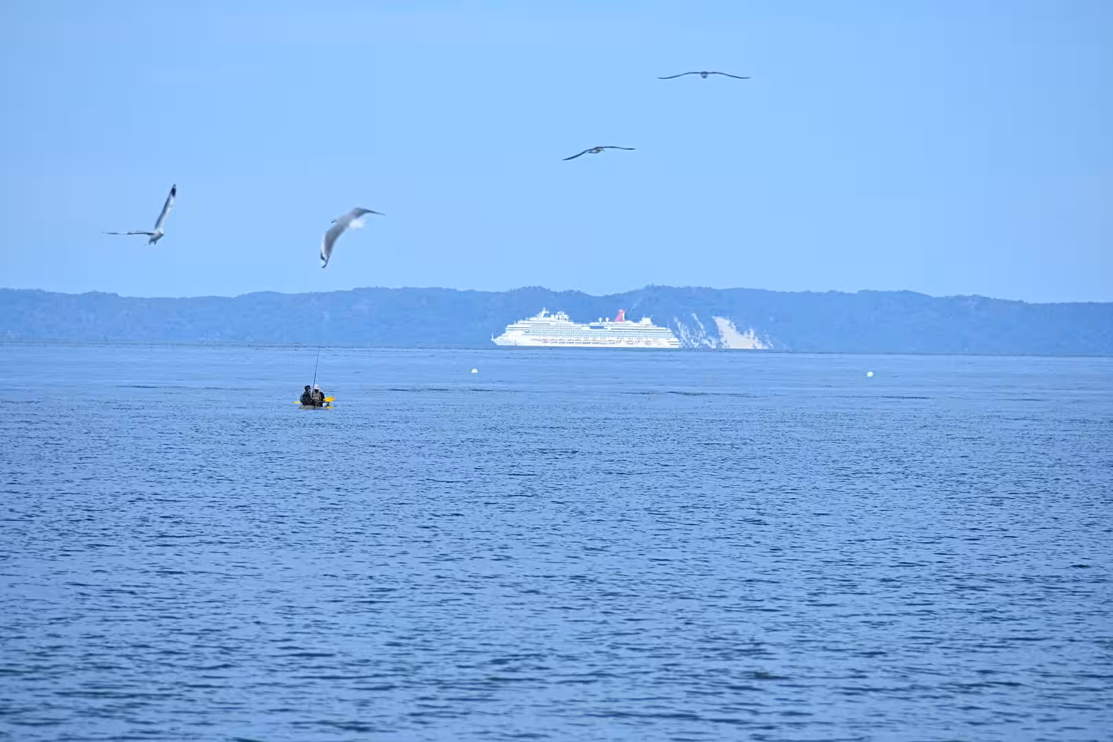 A cruise ship passes a hazy coastline under circling seagulls.
