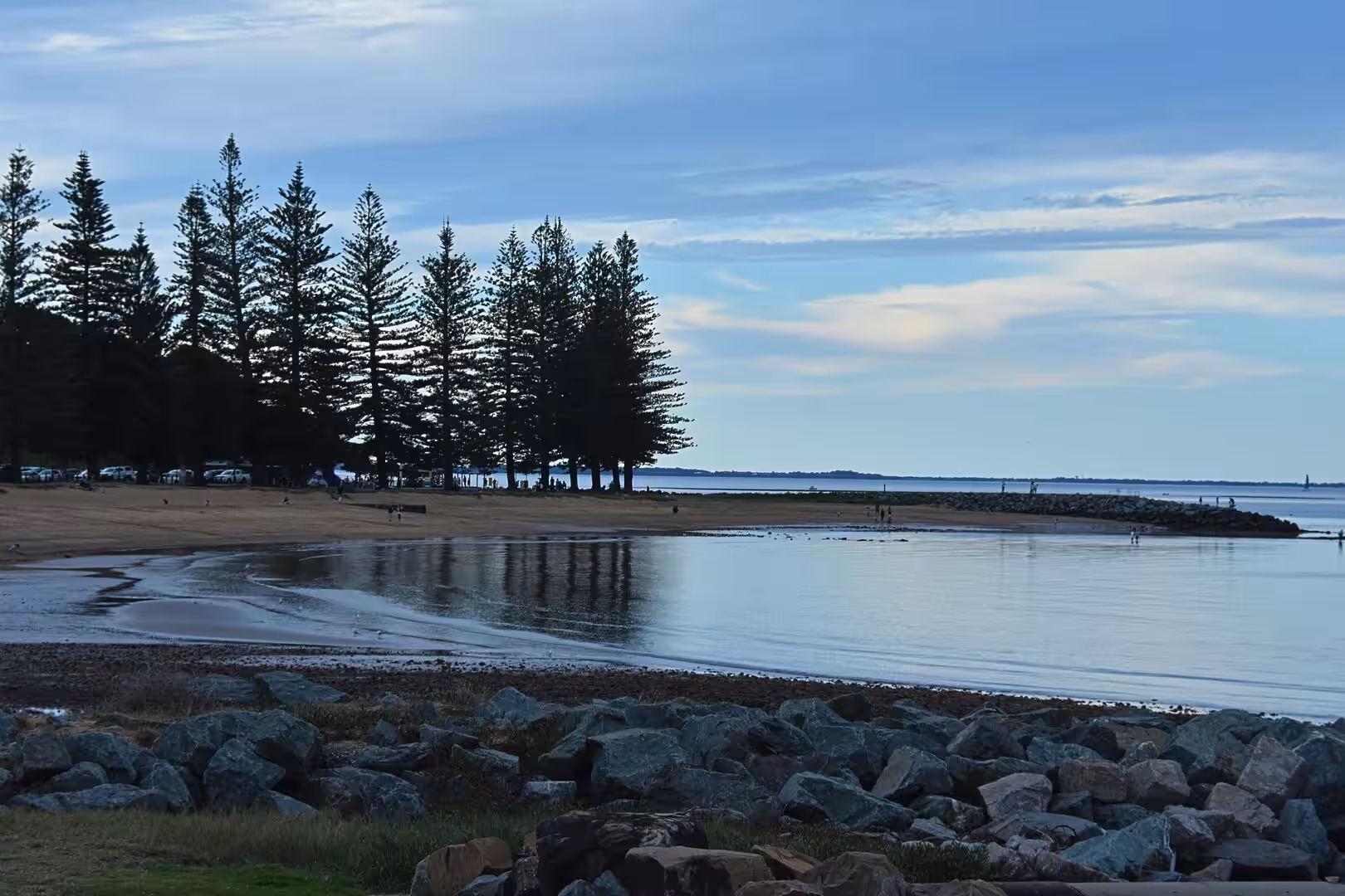 Tall pines stand reflected in a calm, still inlet.