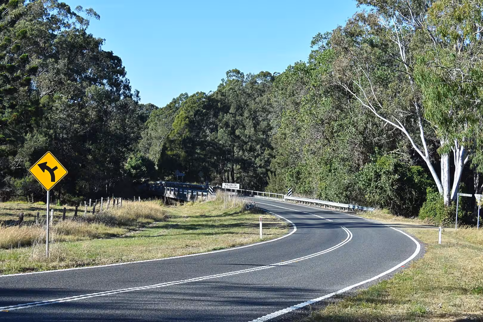 An empty asphalt road curves through eucalyptus countryside beneath a bright sky.