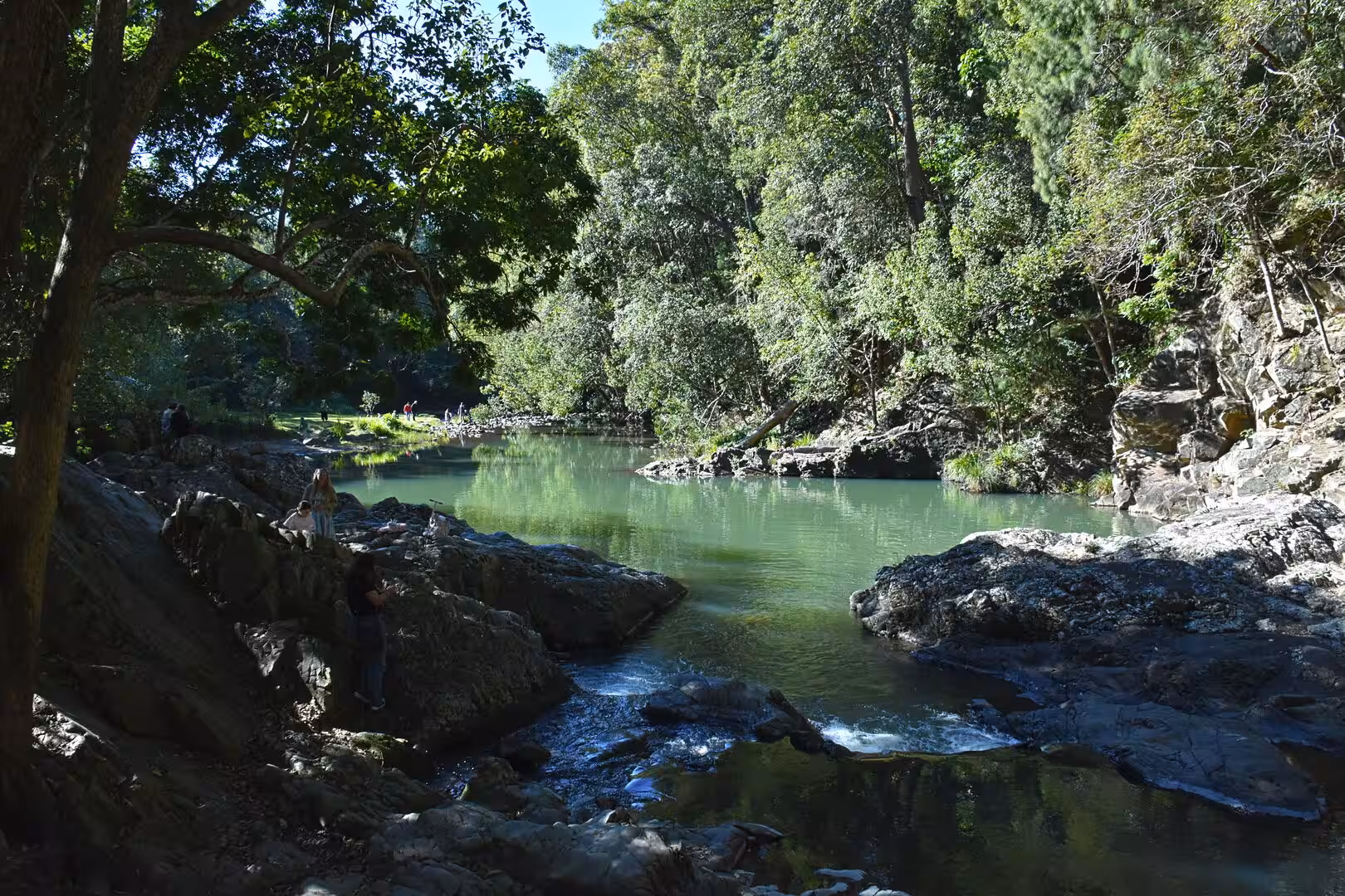 A still green river pool lies between dark boulders in a dense forest gorge.