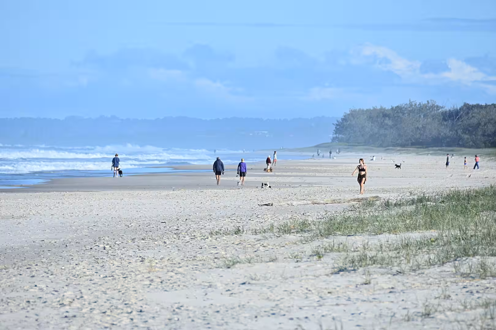 People stroll with dogs across a broad sandy beach.