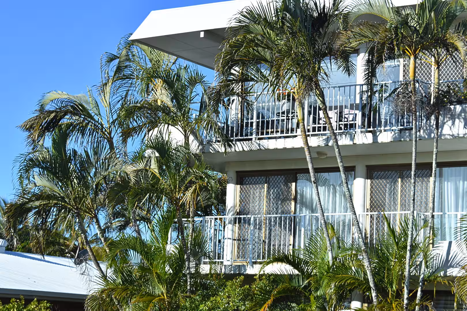 Tall palms screen a white apartment building with balconies.
