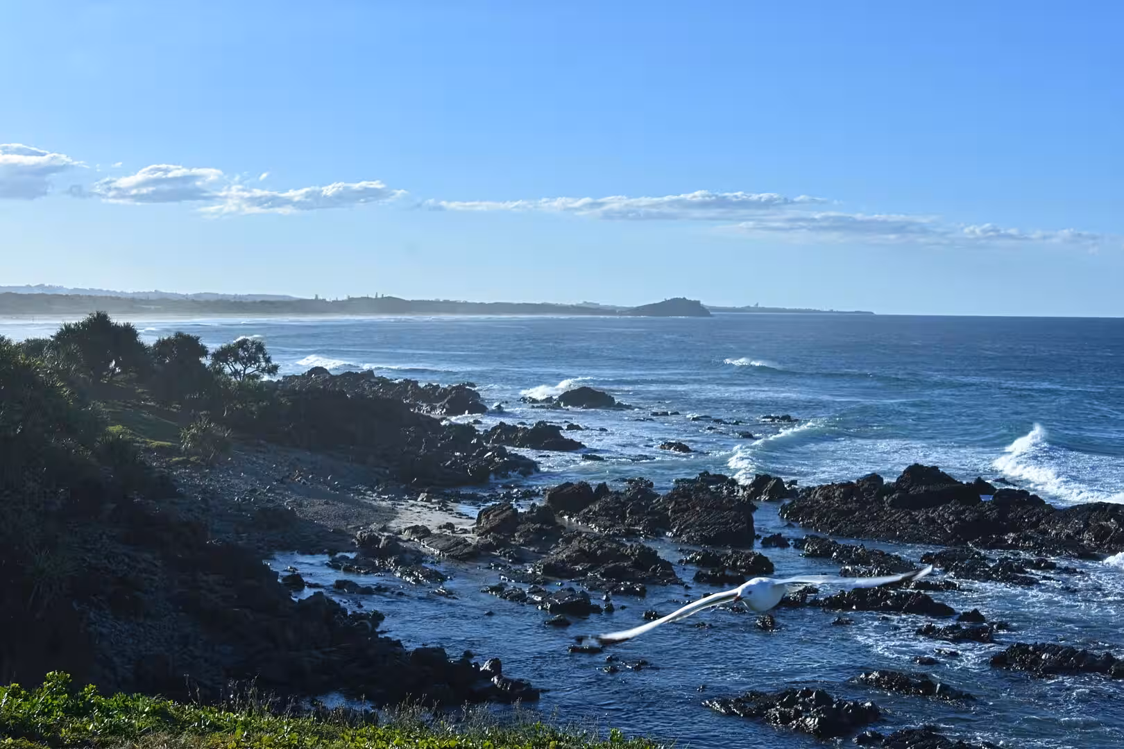 A white gull glides over dark rocks scattered beside the blue sea.