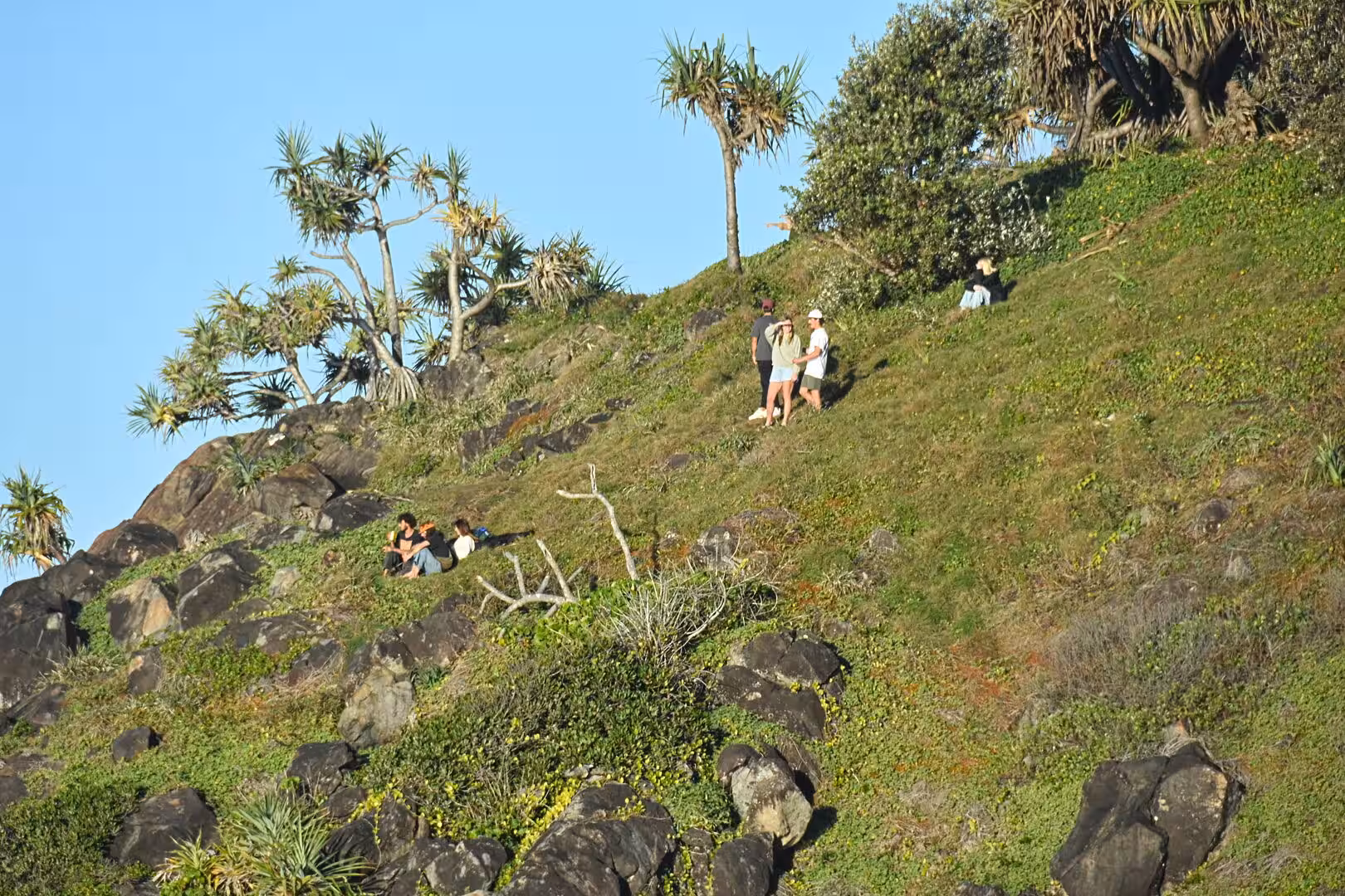 People walk uphill past dark boulders and fan-leaved trees.