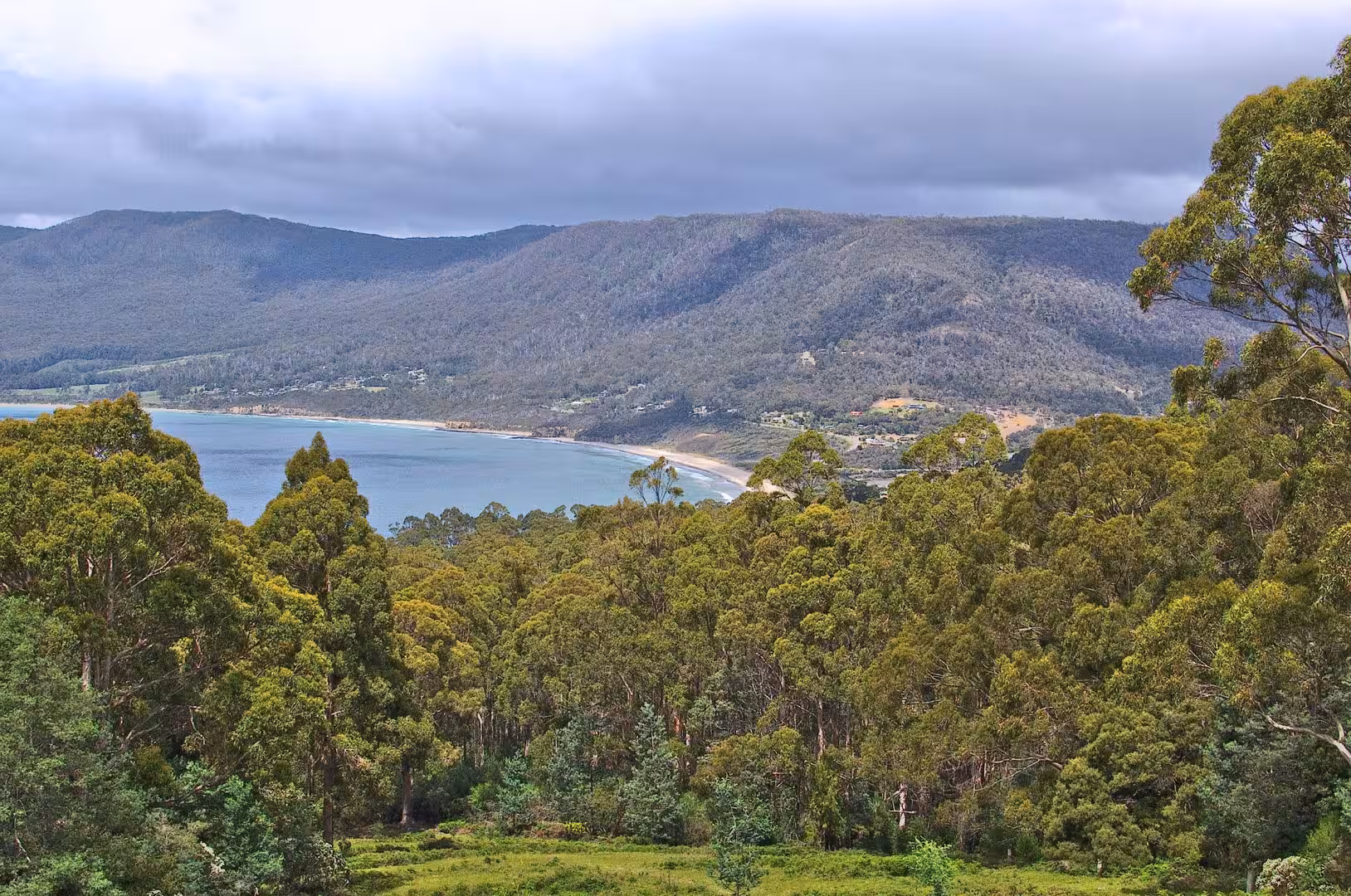 Green forest slopes down to a turquoise bay with a pale beach backed by misty hills.