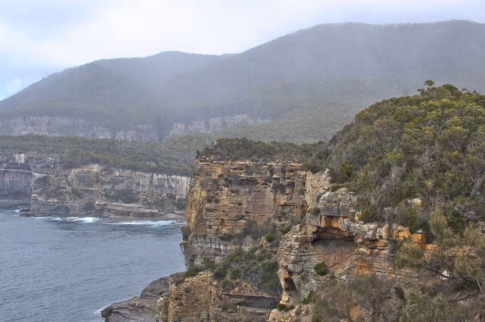 A great cliff face gazes over sea and forest.