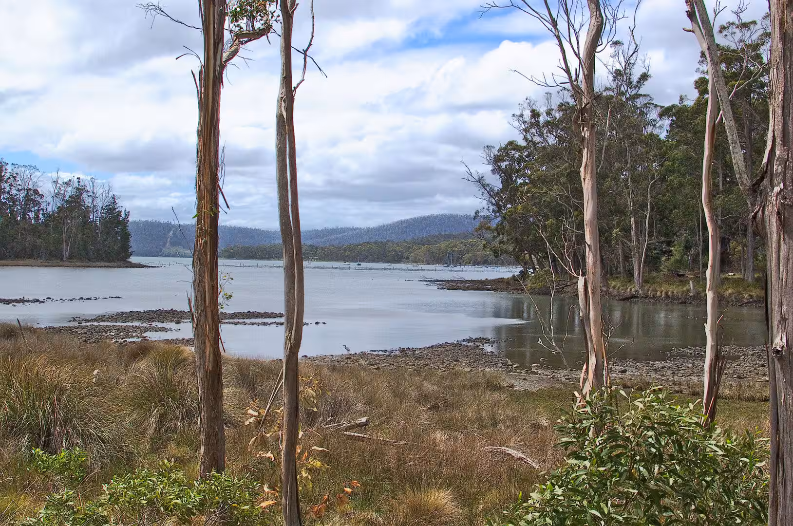 Silent water curves past a shore lined with leafless trees.