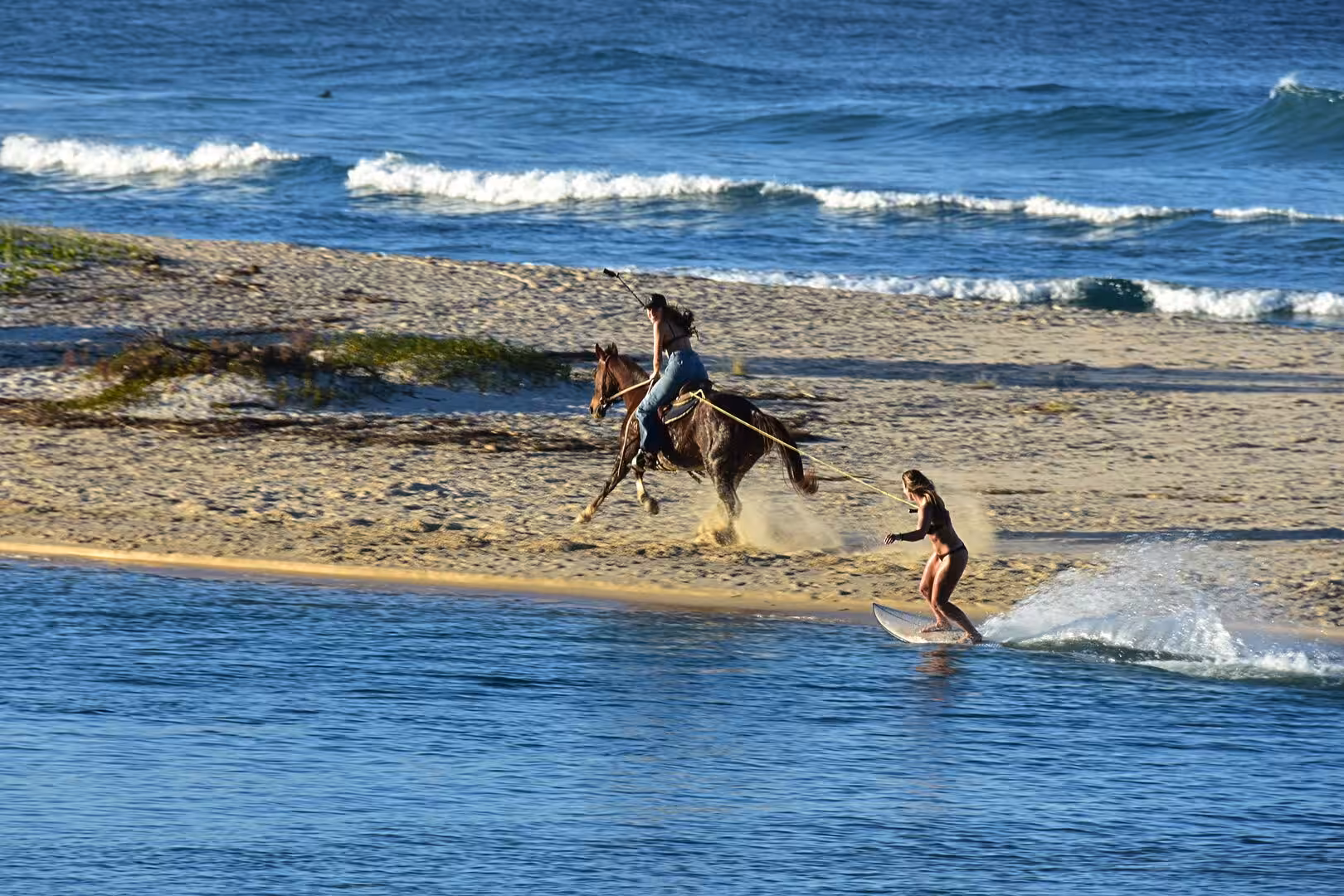 A rider gallops a horse along the beach, towing a surfer who skims the water on his board.