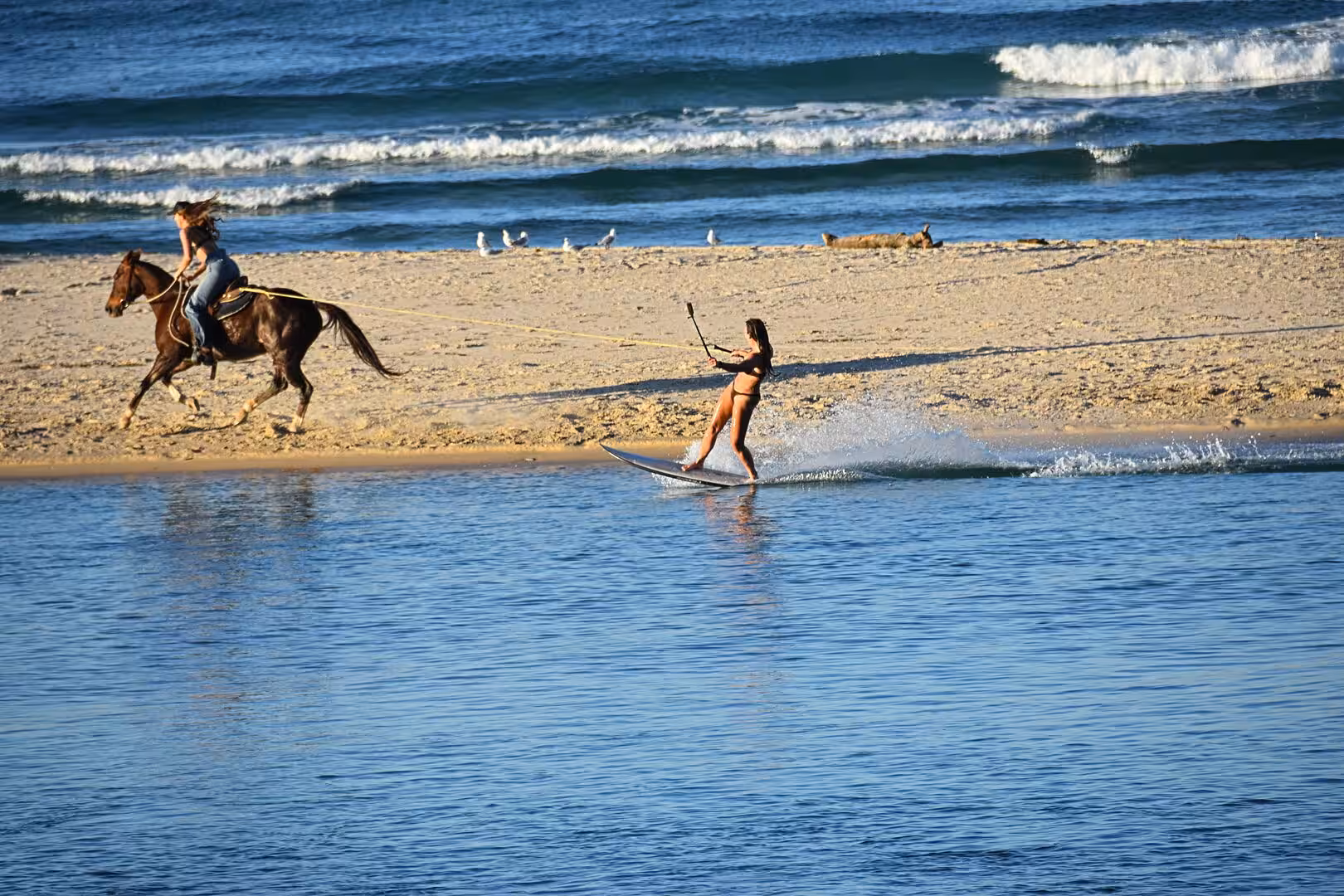 A rider gallops along the sand as a person waterskis across the surf.