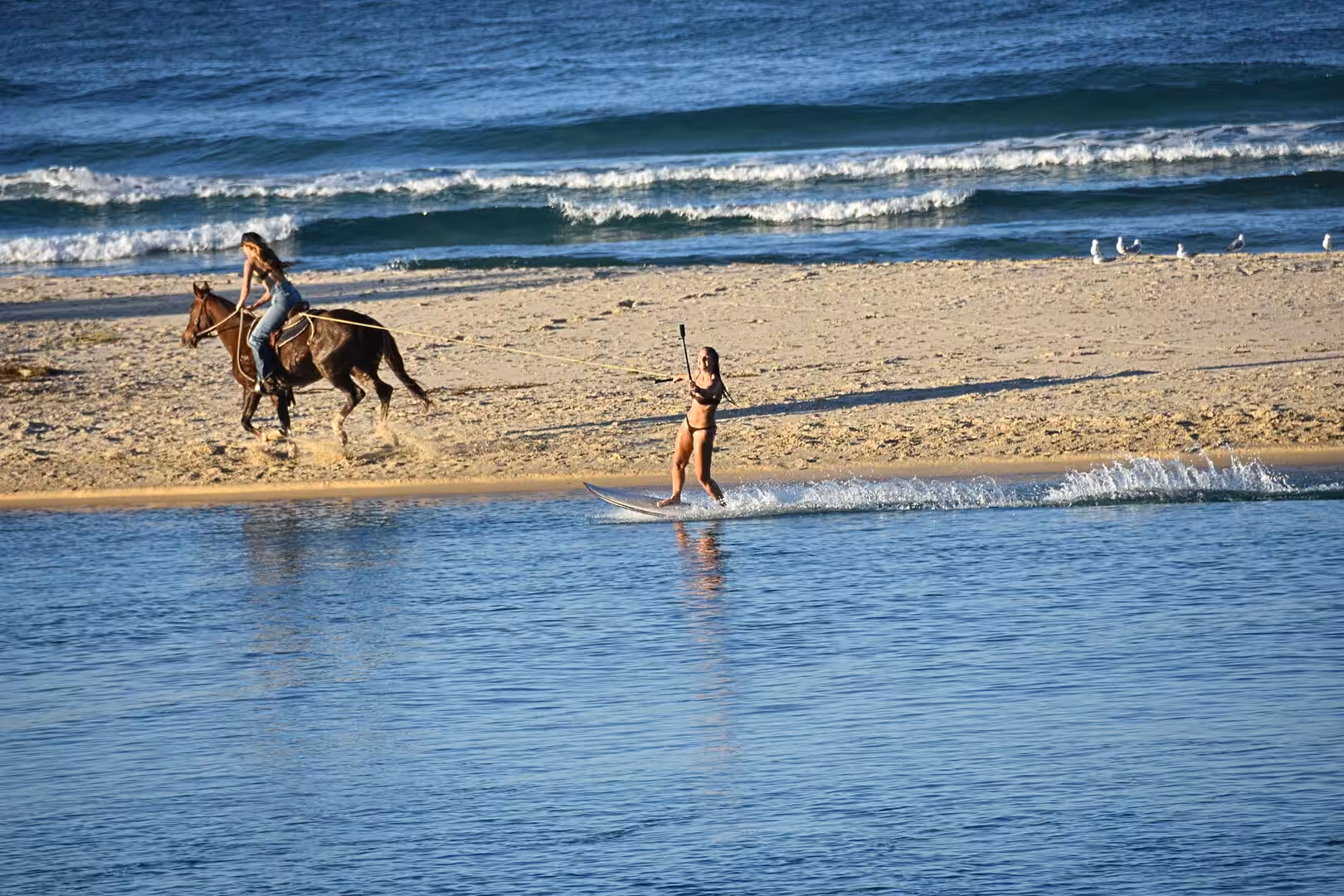 A rider on a horse races a woman gliding over the water on a wakeboard.