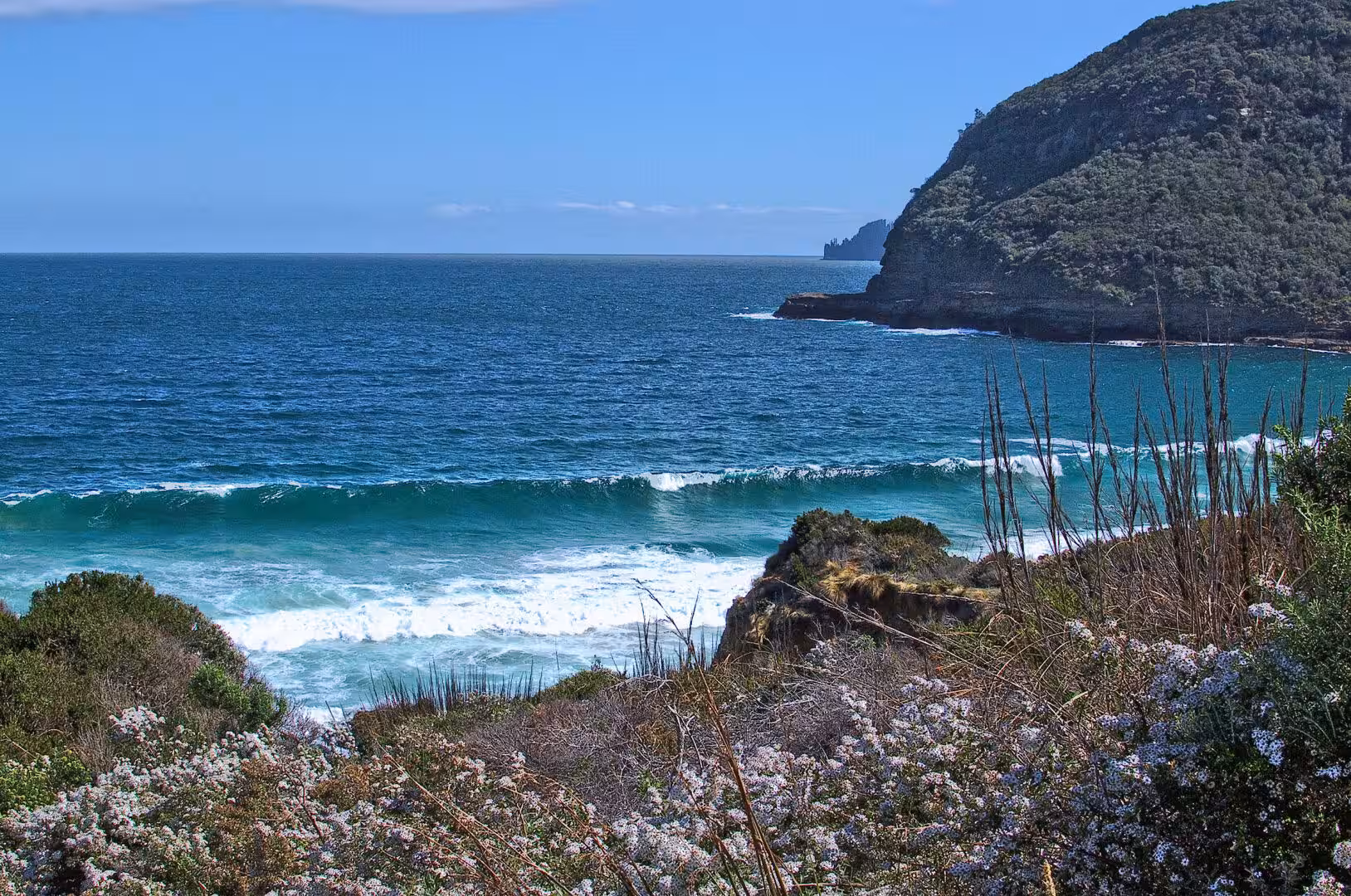A rocky headland juts into bright turquoise water behind a foreground of coastal flowers.