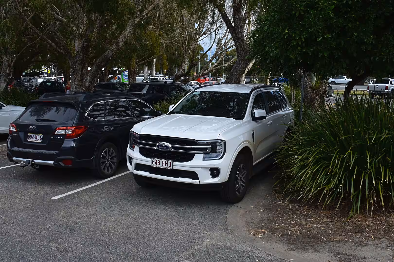 A white Ford SUV parked beside a darker SUV in a leafy shore-side parking area.