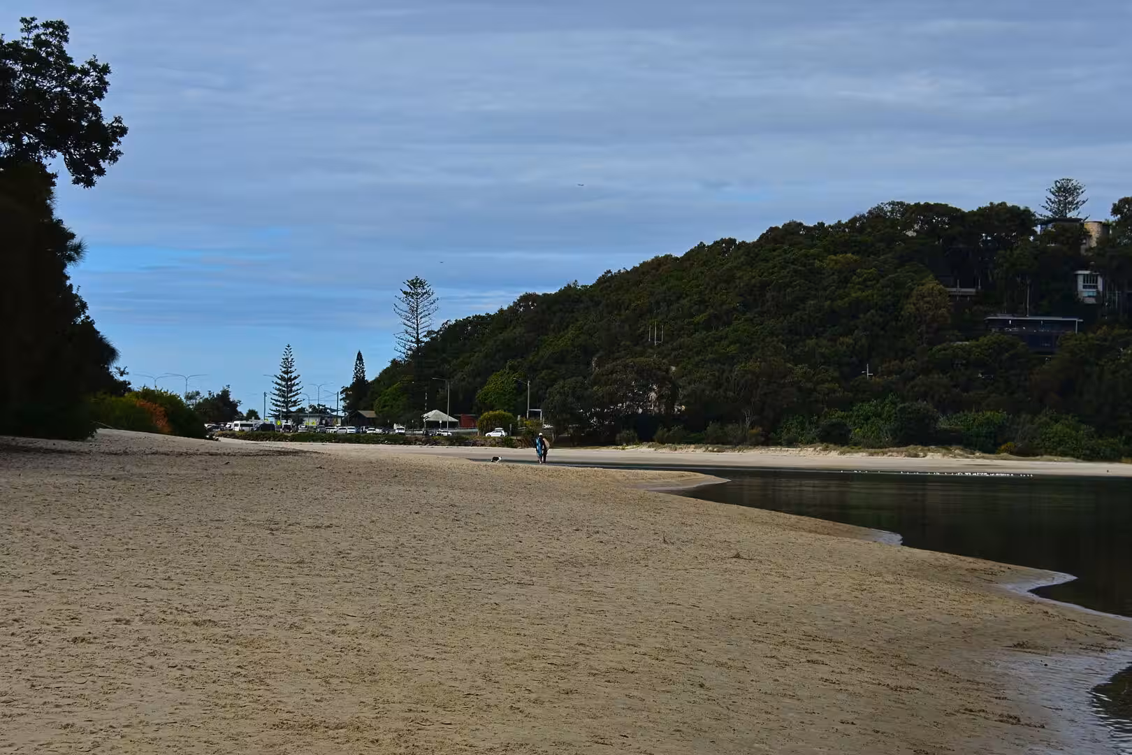 People stroll with a dog across a wide sandy beach beneath tall pines and a green headland.