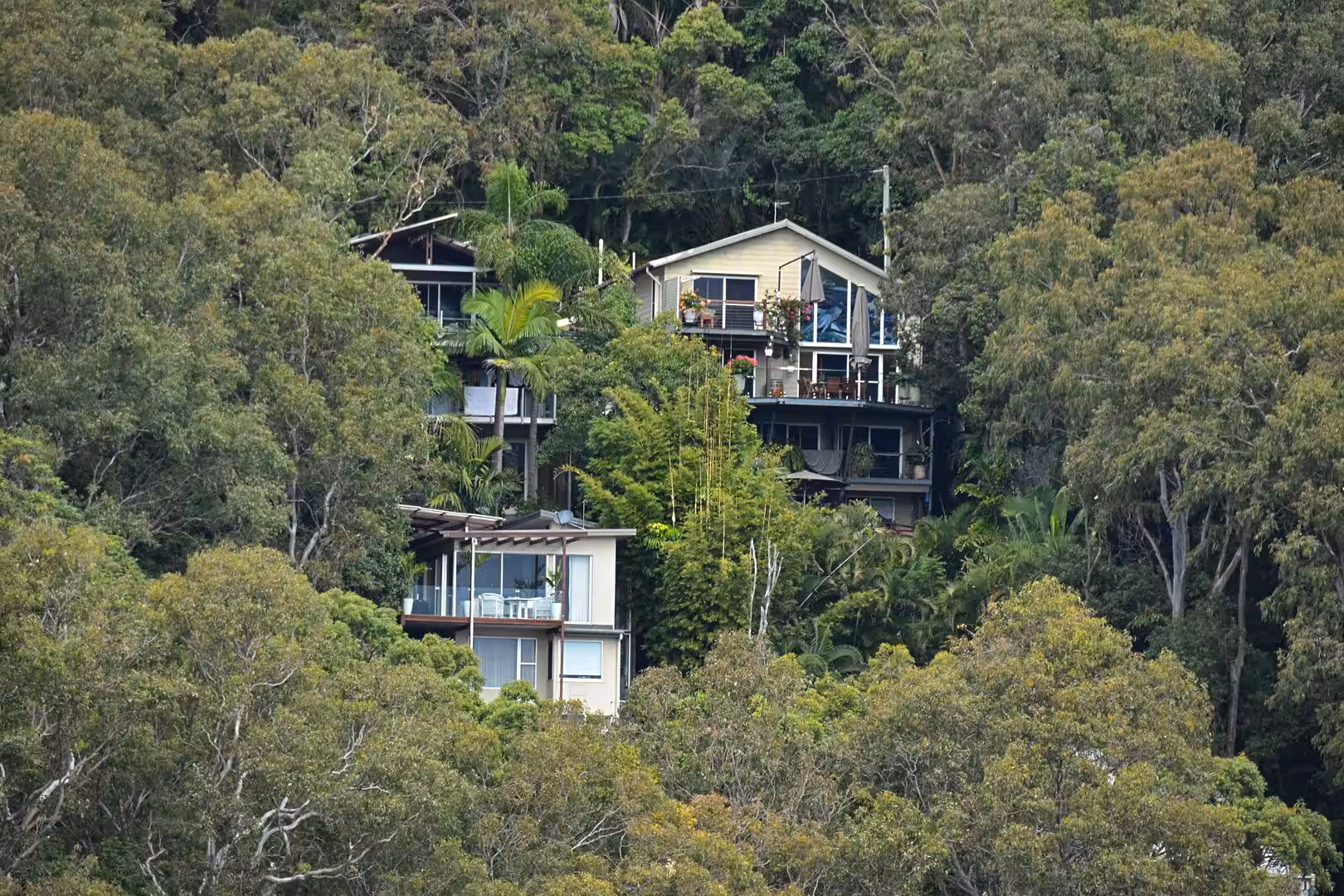 Modern houses are tucked into a steep hillside covered in dense green trees.